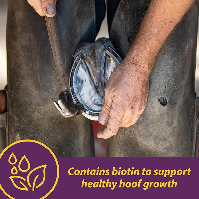 Horse Health Vita Biotin Crumbles Horse hoof Supplement, Helps Maintain Healthy, Sound Hooves and Strong hoof Walls, 20 lbs., 320 Day Supply