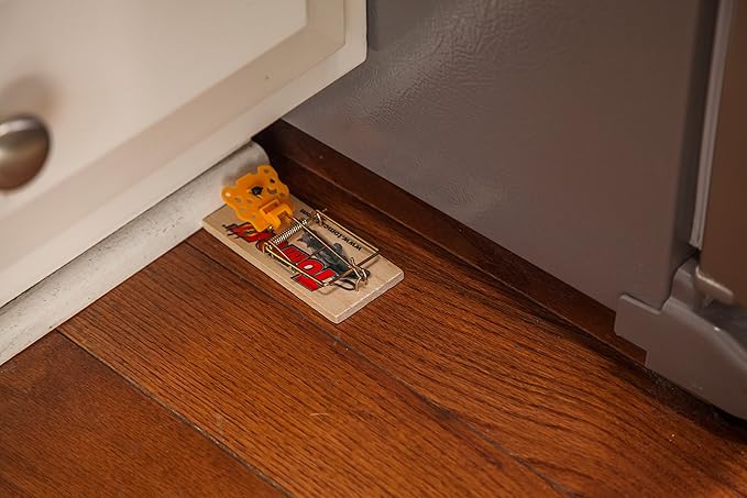 Tomcat Mouse Traps (Wooden), Inexpensive, Effective Way to Catch Mice in The Home, 2 Traps (Pack of 2)