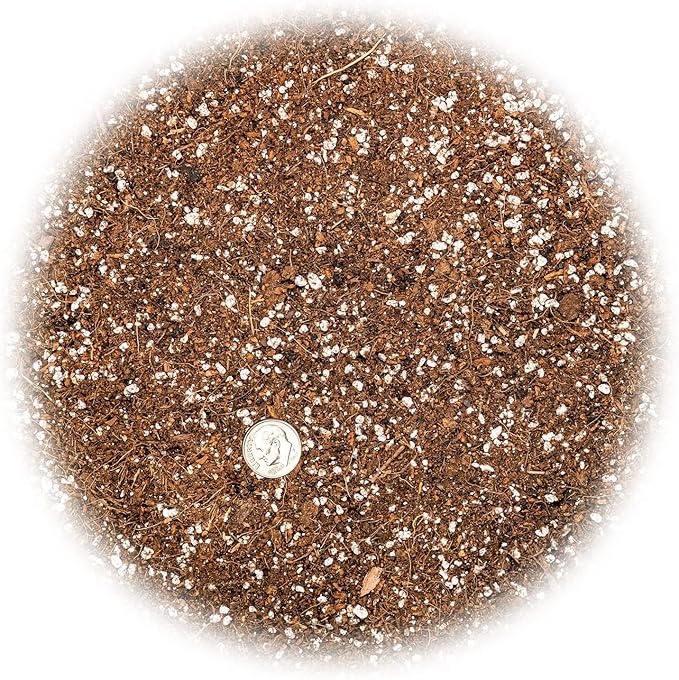 Gardenera Professional Carnivorous Plant Soil - Ready to Use for Venus Flytraps, Sundews, Pitcher Plants, Butterworts | Peat Moss, Coco Coir, Perlite - 2 Quart Bag