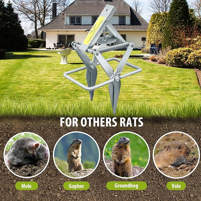 Mole Trap,Galvanized Steel Scissor Trap,Reusable and Easy-Set Quick Capture Solution for Moles and Gophers in Lawns (Silver)
