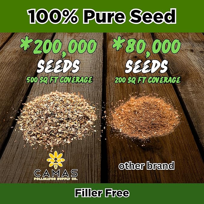 Camas Wildflower Seeds Bulk 1/4 lb – Perennial & Annual Wildflower Seed Mix for Planting Outside, Pure Seed No Fillers, Wild Flower Seeds Throw and Grow for Bees & Pollinators
