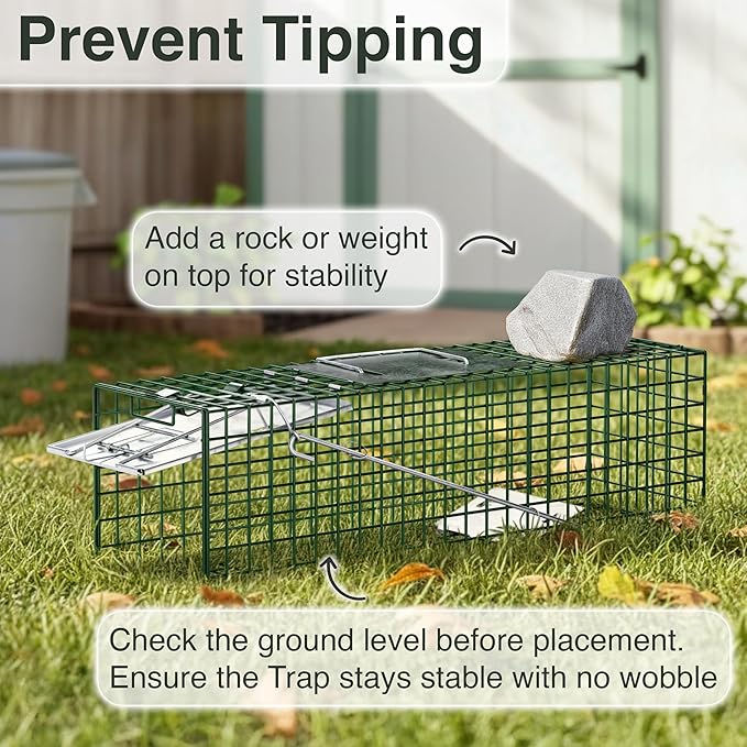 HOMESTEAD 32 Inch Live Animal Trap - Specialized for Raccoons, Opossums, Groundhogs, Skunks, Feral Cats, Squirrels - Humane Way Catch & Release Animal Trap