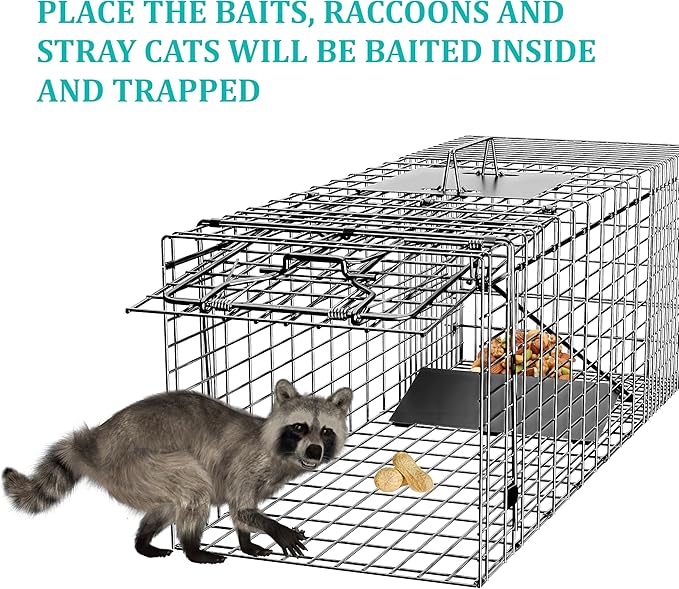 Live Humane Animal Trap, 32" x 11" x 12" Heavy Duty Humane Animal Cage Trap Catch and Release, Foldable Cat Trap for Stray Cats, Raccoons, Groundhogs, Opossums, Armadillos, and Similar-Sized Animals
