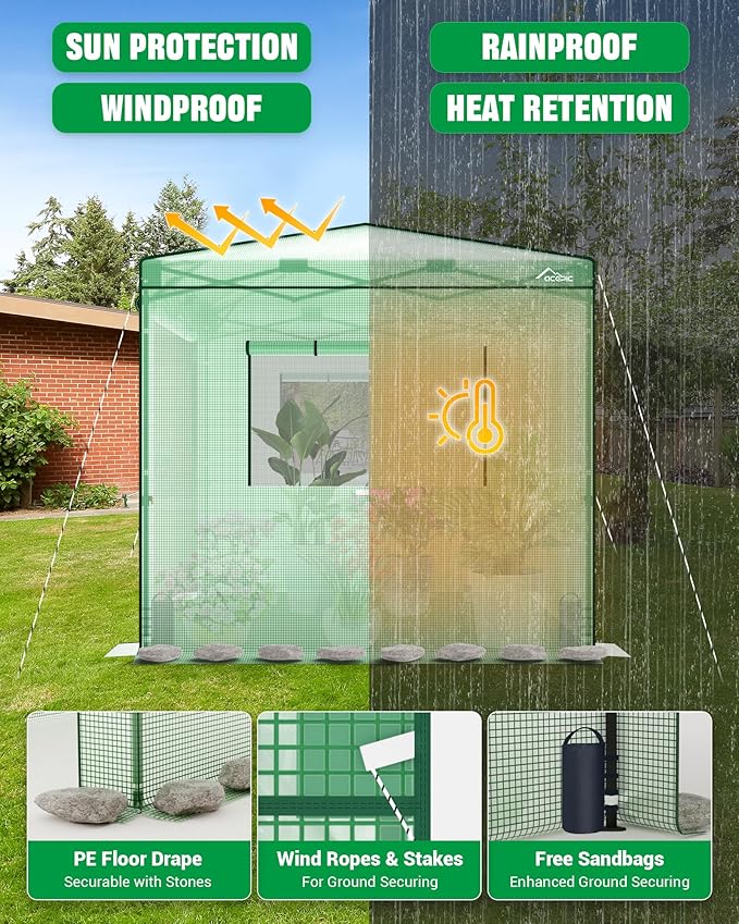 8x8 Instant Pop up Greenhouses, Indoor Outdoor Portable Greenhouse Walk-in for All Season, Small Green House with Roll-Up Zipper Doors and Side Windows, 4 Sandbags, Pe Cover, Green/Clear