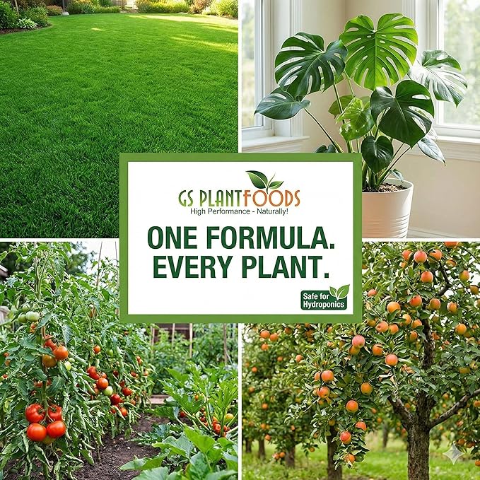 GS Plant Foods Humic Acid Soil Amendment – Leonardite-Derived Liquid Concentrate for Improved Soil Structure & Nutrient Availability – OMRI Listed for Organic Use – 275 Gallons