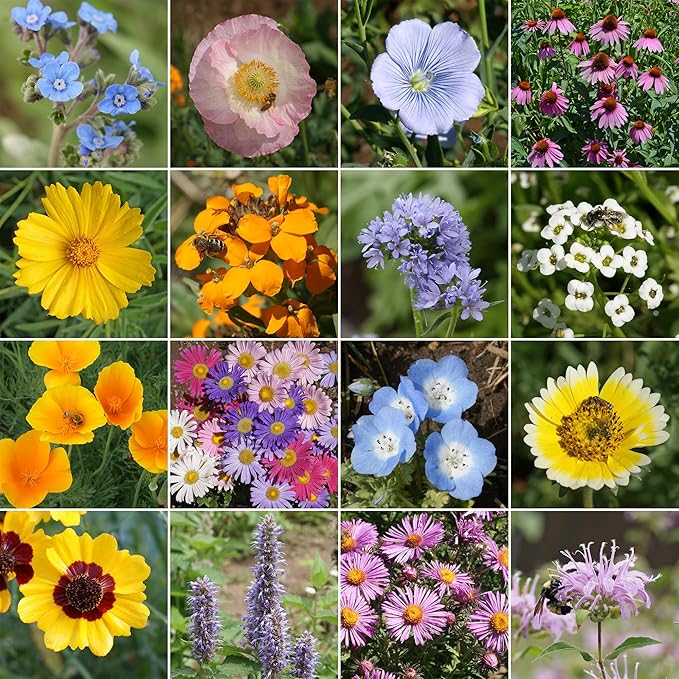 Ferry-Morse Bee Feed Mix Bulk Wildflower Seeds, 1lb