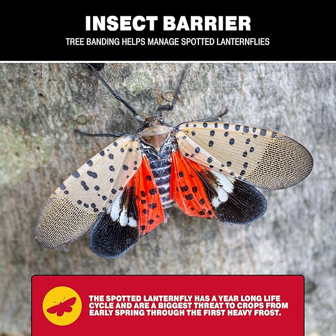 Catchmaster Insect Barrier Kit for Trees -Outdoor Insect Glue Traps for Ornamental Plants, Shrubs & Trees - DIY Beetles, Lanternflies, Cankerworms, Gypsy Moth & Ant Traps - Includes Spreader