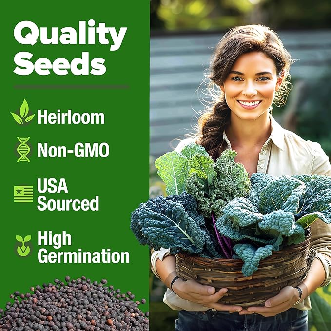 HOME GROWN Heirloom Vegetable Seeds Vegetable Seeds for Planting Home Garden, Beans, Carrots, Peppers, Cucumber, Kale, Pepper Seeds, Tomato (4 Kale)