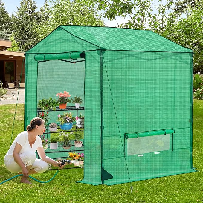 6x6 Pop Up Walk-in Greenhouse, Indoor & Outdoor PE Cover Green House with Power Access Ports, Roll-up Zippered Doors and Windows, Green