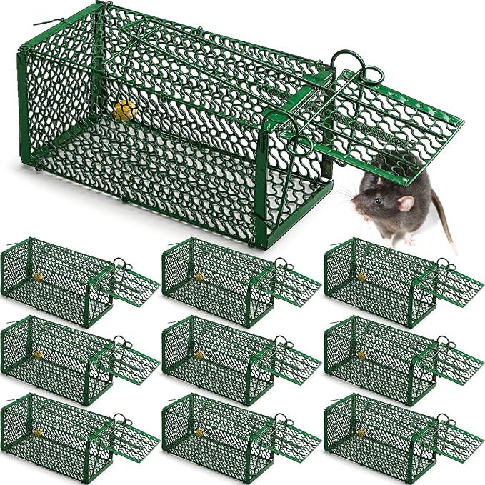 Qualirey 10 Pcs Humane Rat Trap Chipmunk Squirrel Cage Trap Foldable Rodent for Small Live Animal Voles Hamsters Catch and Release for Kitchen Yard Garage Indoors Outdoors (Green)