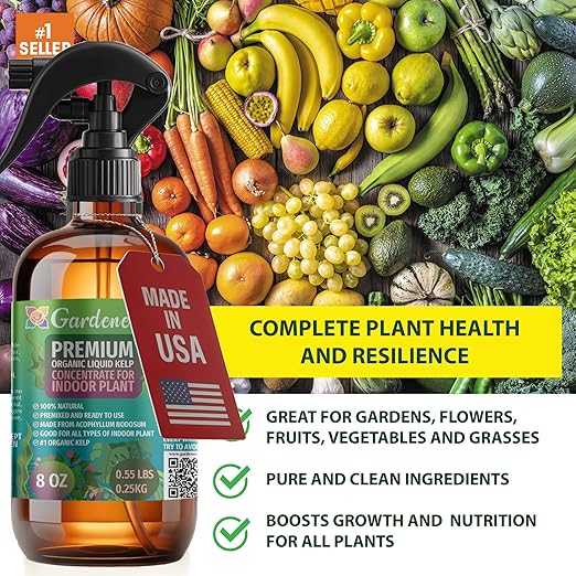 GARDENERA Professional Organic Liquid Kelp Spray for Jade Plants Plants - 8 oz - Ready-to-Use Fully Organic Seaweed & Kelp Fertilizer Mist