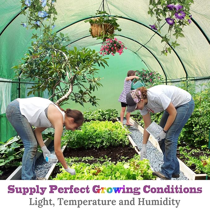 BenefitUSA Replacement Cover for Greenhouse (24.6'x10'x7')