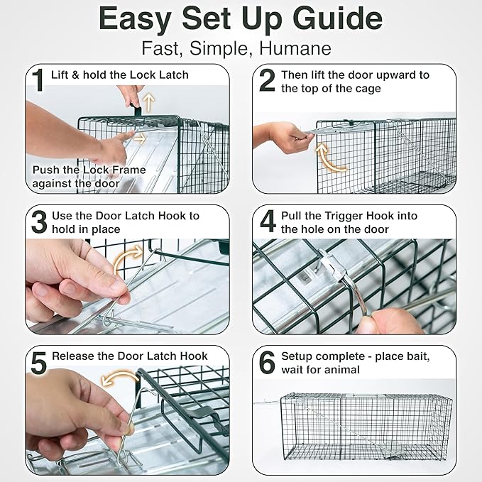 HOMESTEAD 32 Inch Live Animal Trap - Specialized for Raccoons, Opossums, Groundhogs, Skunks, Feral Cats, Squirrels - Humane Way Catch & Release Animal Trap