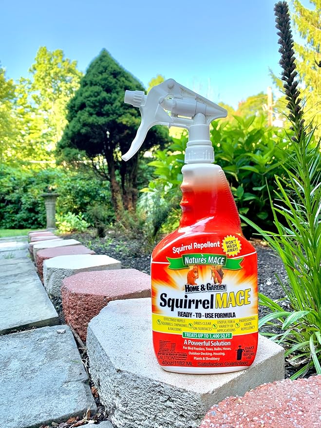 Nature's Mace Squirrel Mace, Squirrel Repellent Outdoor, 40 Ounce Spray, Squirrel and Chipmunk Repellent, Keep Squirrels Out of Your Garden, Attic, Bird Feeders, Fruit Trees, Plants, Potted Plants