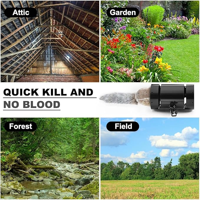 Qualirey Tube Squirrel Trap Rust Resistant Trap 4.5'' in Diameter with a Setting Tongs for Gardens Backyards Patios, Safe and Effective Pest Control Commercial and Residential Use(2 Pcs)