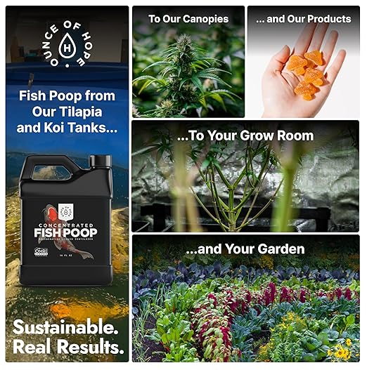 OMRI Listed Organic Concentrated Fish Poop - Liquid Fertilizer for Vegetable Gardens, Indoor Plant Food for Houseplants, Hydroponic Nutrients, Soil Amendment (1 Gallon)