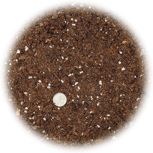 GARDENERA Money Tree Potting Soil - 10 Quart - Soil Mix for Planting or Repotting Guiana Chestnut, Blended Mix to Properly Grow Money Tree Plants (2 Bags of 5 Quart)