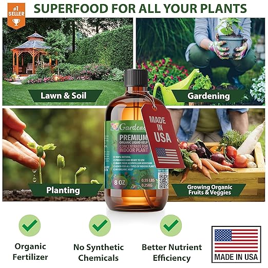 GARDENERA Premium Organic Seaweed & Kelp Superfood for Bamboo Plants - 32 oz - Liquid Kelp Fertilizer Concentrate (Makes 180 Gallons)