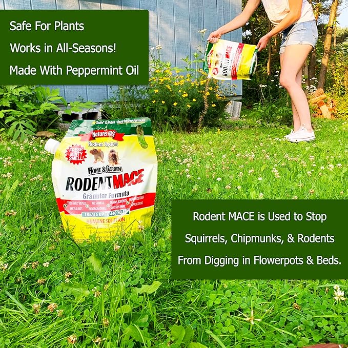 Nature's MACE Rodent Repellent 2.5lb, Covers 440 Sq. Ft., Repel Mice & Rats, Keep Mice, Rats & Rodents Out of Home, Garage, Attic, and Crawl Space, Stop Damage, Safe to use Around Kids, Pets, Plants