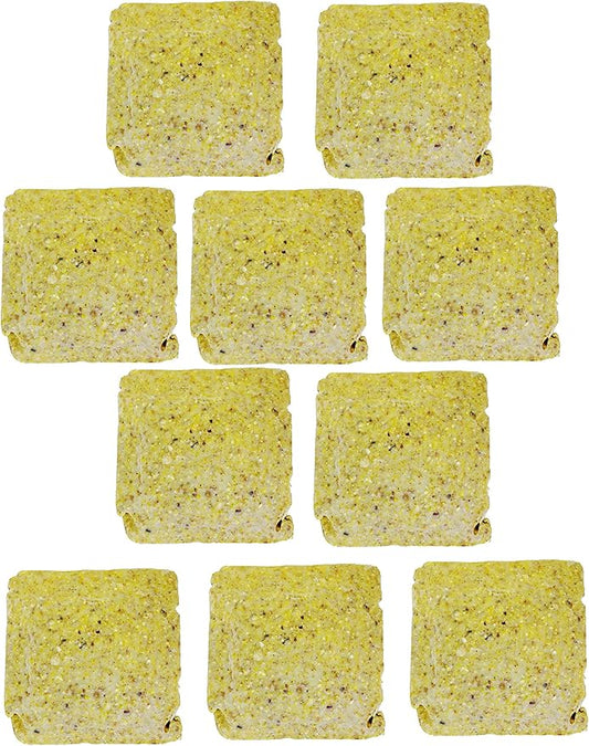 ST. ALBANS BAY SUET PLUS Suet Cake Variety Packs | 11 oz. Wild Bird Suet Cakes | (Pecan, 10 Pack)