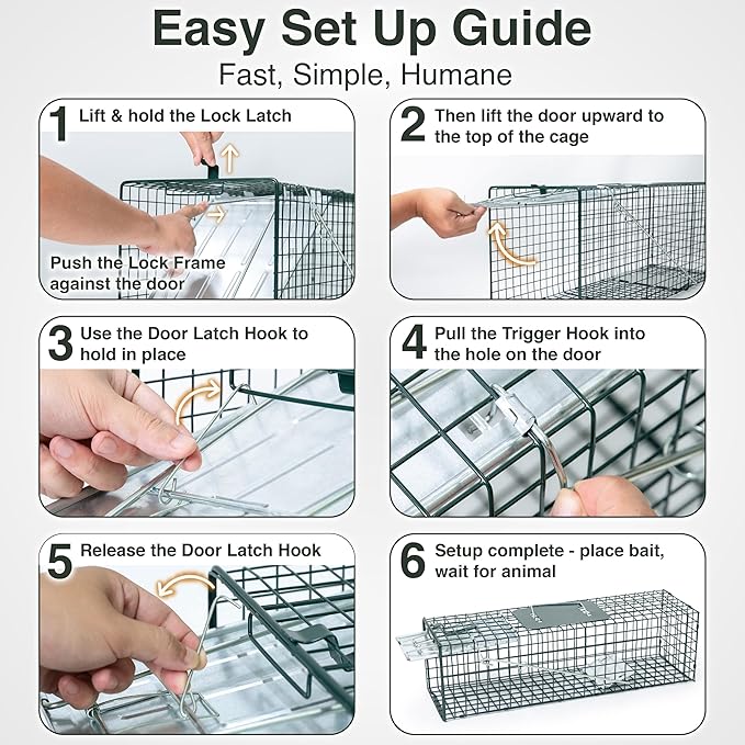 HOMESTEAD 2-Pack Live Animal Trap - Specialized for Raccoons, Opossums, Groundhogs, Skunks, Feral Cats, Squirrels - Heavy Duty Steel Traps, 1-Door, Green, Humane Catch & Release Animal Trap,89-302