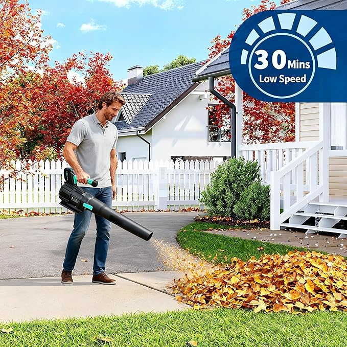 Leaf Blower Cordless - 20V Electric Leaf Blower 350CFM & 2 Speed Modes with Charger, 1 * 4.0Ah Lightweight Battery Powered, Leaf Blowers for Lawn Care, Blowing Leaves, Patio, Dust (Black & Turq 1)