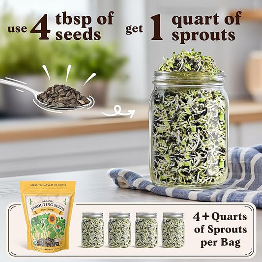 Seedboy Organic Sunflower Seeds for Sprouting - Non-GMO, USA Grown Microgreens Sprouting Seeds Mix - Makes 4 Quarts of Sprouts, 16 Servings (8 oz) (Black Oil Sunflower)