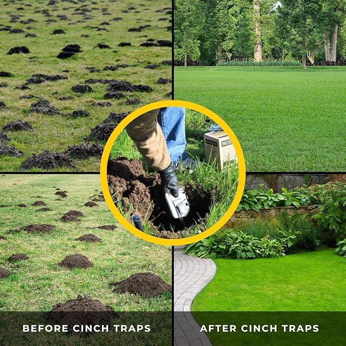 Cinch Gopher Trap Kit, Professional-Grade, Heavy-Duty Reusable Trap System for Gopher and Mole Control | Easy Set, Humane, No Chemicals, Ideal for Lawns, Gardens, and Farms | Made in USA (1- Large)