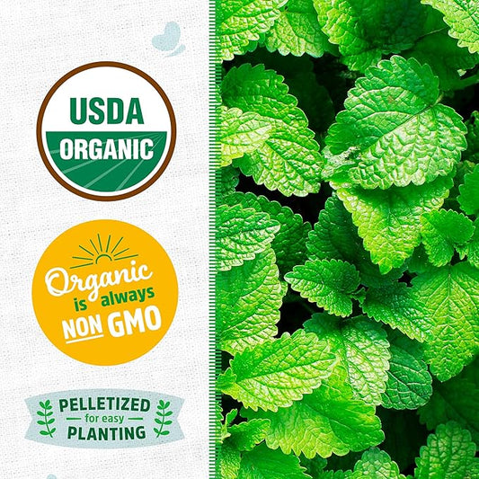 Back to The Roots 100% Organic Seed Packets - Peppermint (Pack of 2)