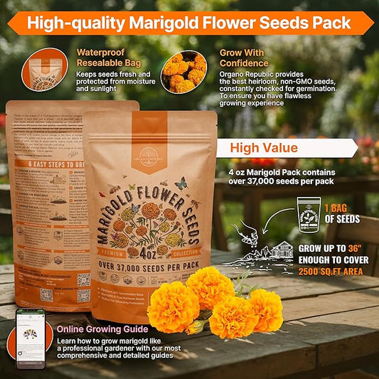 Marigold Seeds Pack 4 oz - Over 37,000 Non-GMO Heirloom Marigold Seeds for Planting Indoor & Outdoor Gardening, Flower Seed for Planting Home and Garden, Flowers Seed in Individual Packet