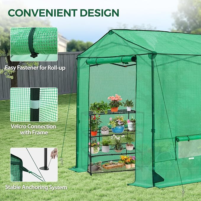 6x6 Pop Up Walk-in Greenhouse, Indoor & Outdoor PE Cover Green House with Power Access Ports, Roll-up Zippered Doors and Windows, Green