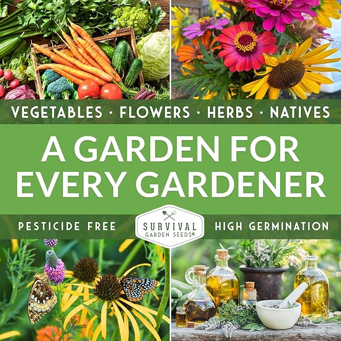 Jalapeño Pepper Seeds for Planting | Hot Heirloom Non-GMO Peppers for Pickling & Salsas – Survival Garden Seeds (3 Packs)