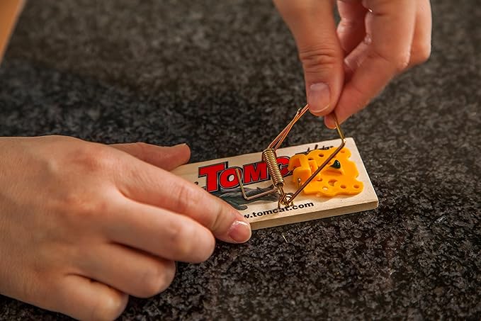 Tomcat Mouse Traps (Wooden), Inexpensive, Effective Way to Catch Mice in The Home, 2 Traps (Pack of 2)