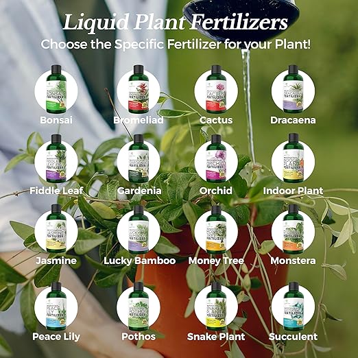 Leaves and Soul Professional Liquid Fiddle Leaf Fig Plant Fertilizer | 3-1-2 Concentrate for House Plants | 8 oz Bottle