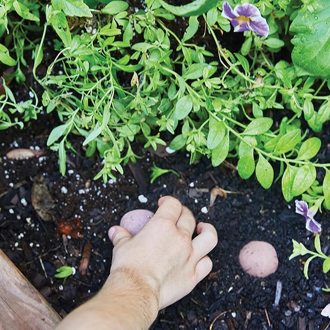Modern Sprout Wildflower Seed Ball Poop - Non-GMO, Hand-Rolled Clay Seed Bombs with Wildflower Seeds - Plop Plant & Grow Gardening Gift Set for Kids & Adults - (Magical Plop - Pack of 3)