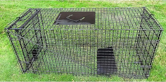 Humane Way Folding 42 Inch Live Humane Animal Trap - Safe Traps for All Animals - Dogs, Raccoons, Cats, Groundhogs, Opossums, Coyote, Bobcat - 42"x16"x18"