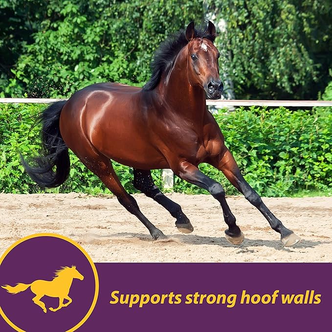 Horse Health Vita Biotin Crumbles Horse hoof Supplement, Helps Maintain Healthy, Sound Hooves and Strong hoof Walls, 20 lbs., 320 Day Supply