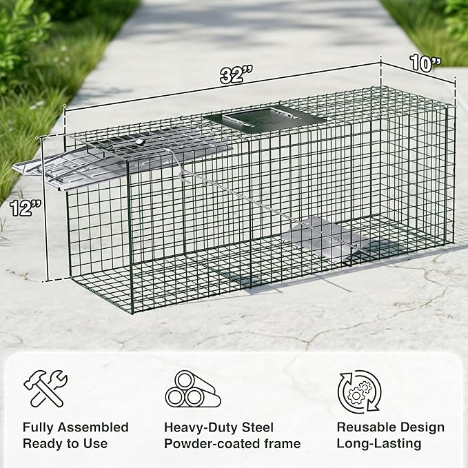 HOMESTEAD 32 Inch Live Animal Trap - Specialized for Raccoons, Opossums, Groundhogs, Skunks, Feral Cats, Squirrels - Humane Way Catch & Release Animal Trap