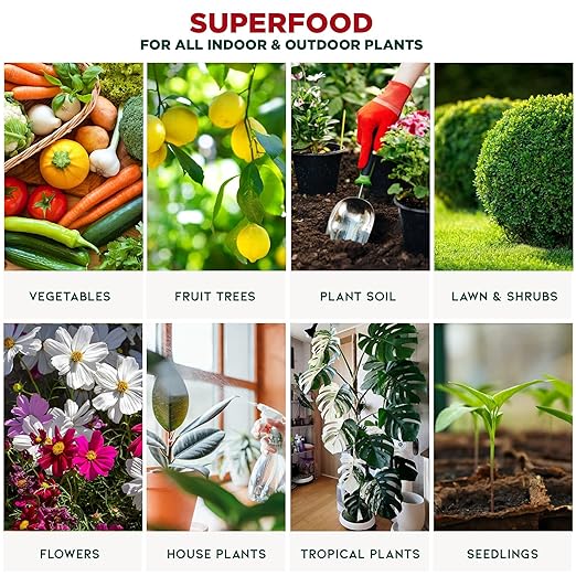 GARDENERA Premium Organic Seaweed & Kelp Superfood for Bamboo Plants - 32 oz - Liquid Kelp Fertilizer Concentrate (Makes 180 Gallons)