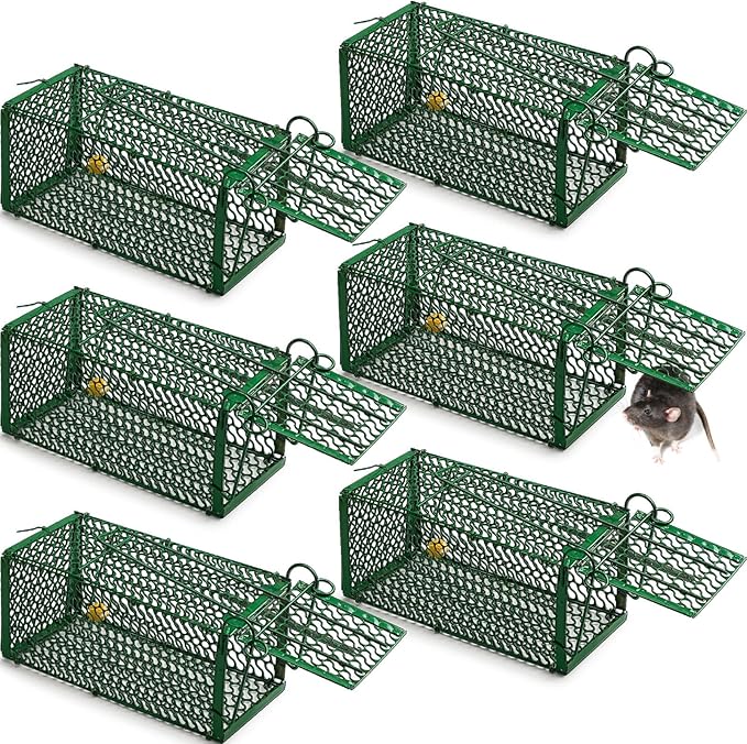 Qualirey 6 Pcs Humane Rat Trap Chipmunk Squirrel Cage Trap Foldable Rodent for Small Live Animal Voles Hamsters Catch and Release for Kitchen Yard Garage Indoors Outdoors (Green)
