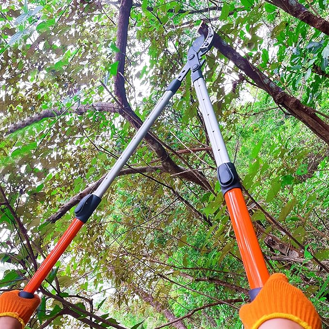 Prunrt Loppers for Tree Trimming Heavy Duty, 26-40 Inch Handle Telescopic Tree Trimmer, Sync Drive Leverage Pruner, 2 Inch Branch Cutter